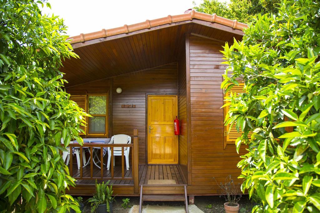 Dostlar Pension Tekirova Chambre photo