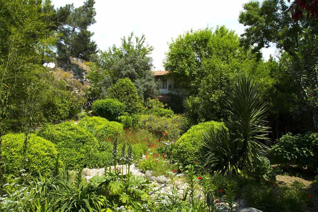 Dostlar Pension Tekirova Chambre photo