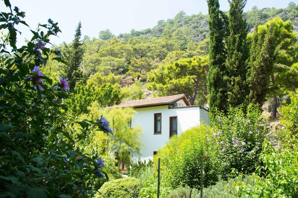 Dostlar Pension Tekirova Chambre photo