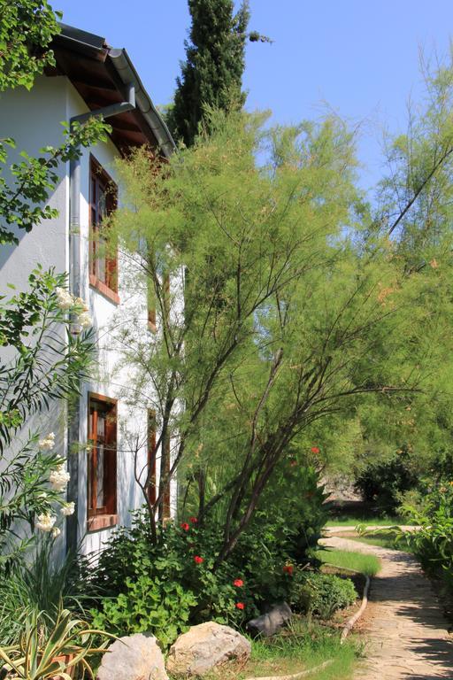 Dostlar Pension Tekirova Extérieur photo